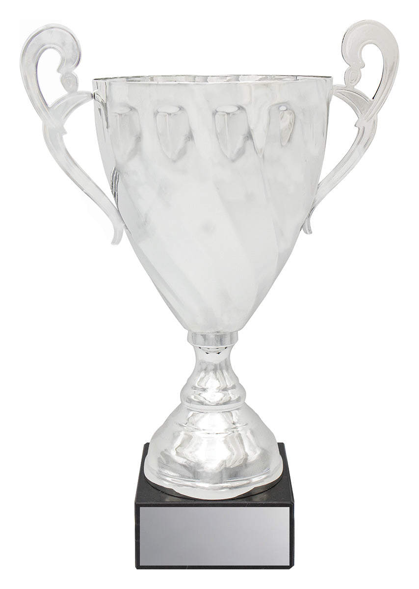 Fidelity Cup - Silver