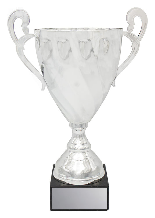 Fidelity Cup - Silver