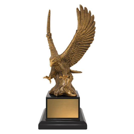 Soaring Success