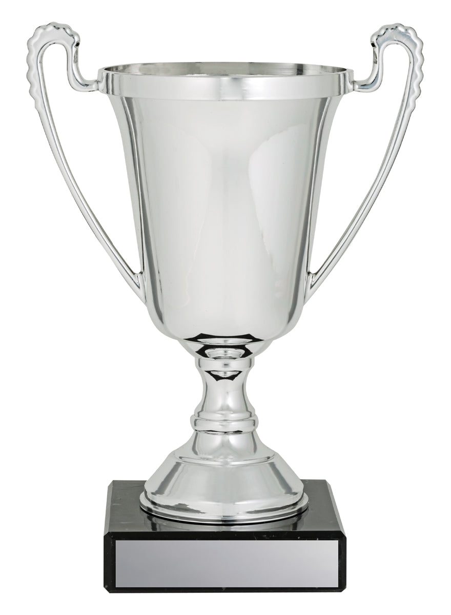 The Moment Cup