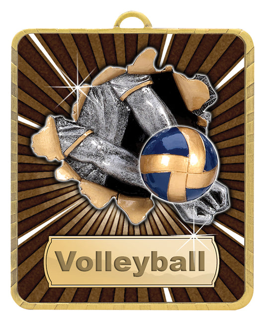 Gold Lynx Medal - Volleyball