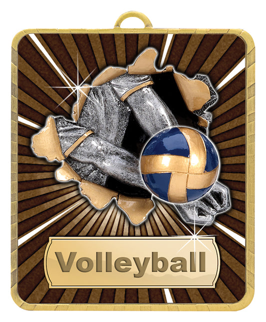 Gold Lynx Medal - Volleyball