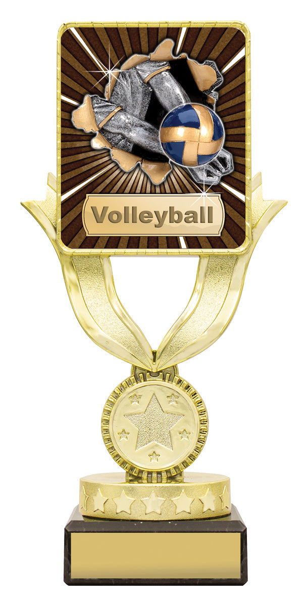 Lynx Sentry - Volleyball