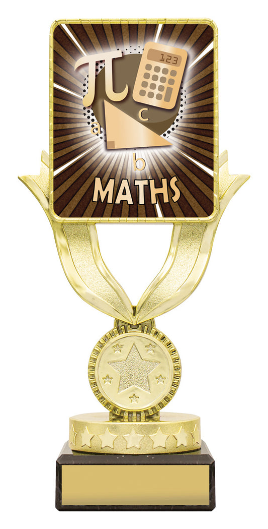 Lynx Sentry - Maths