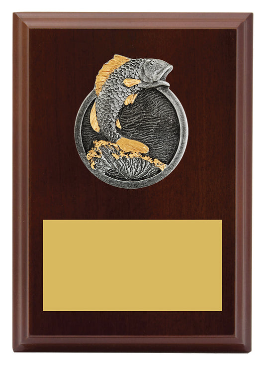 Peak Plaque Fishing