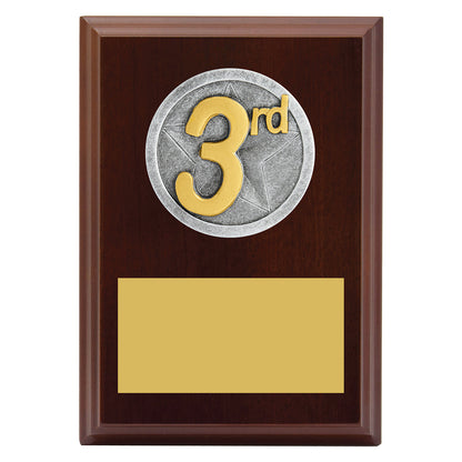 Peak Plaque 3rd Place