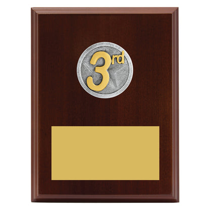 Peak Plaque 3rd Place