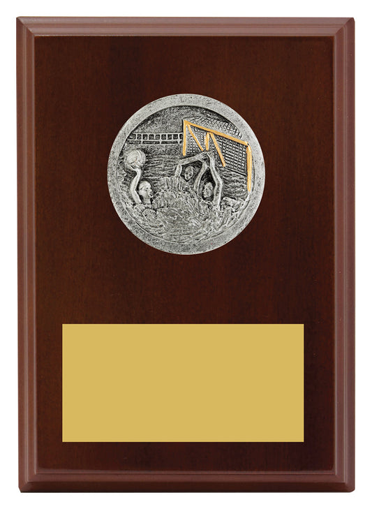 Peak Plaque Water Polo
