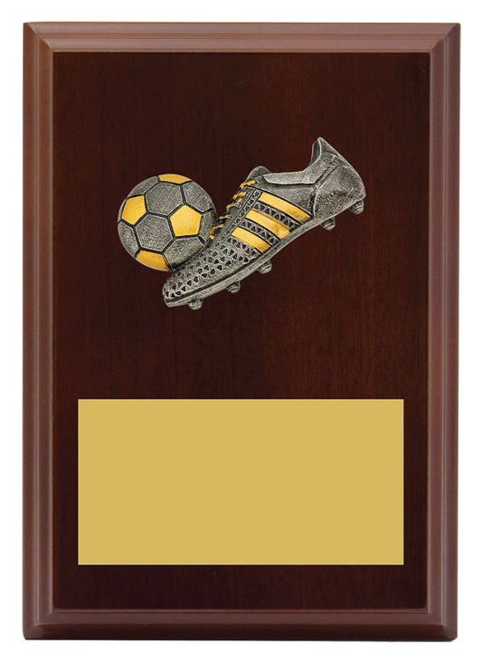 Peak Plaque Football