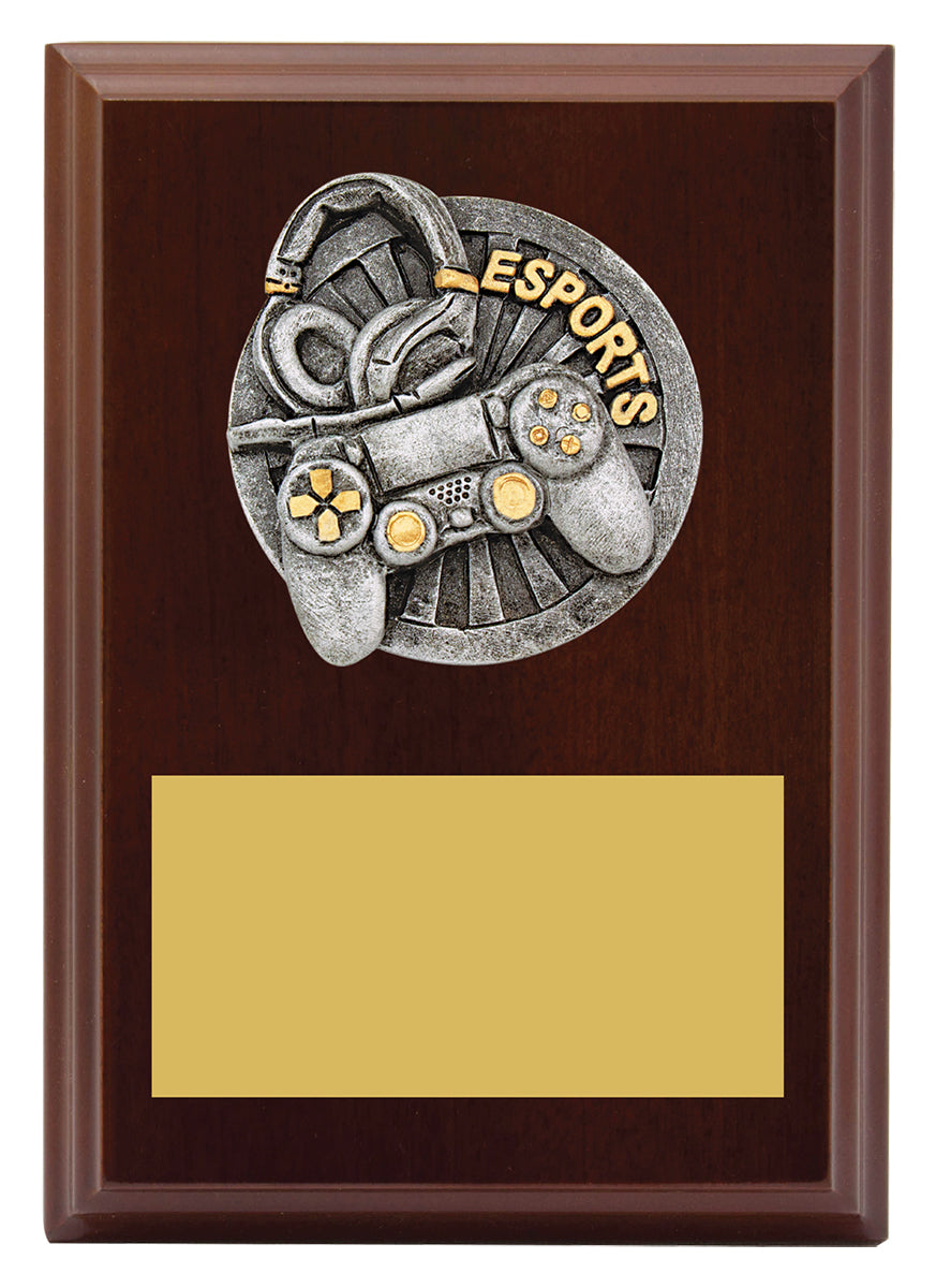 Peak Plaque Esports