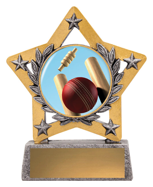 Mini Star Colour - Cricket