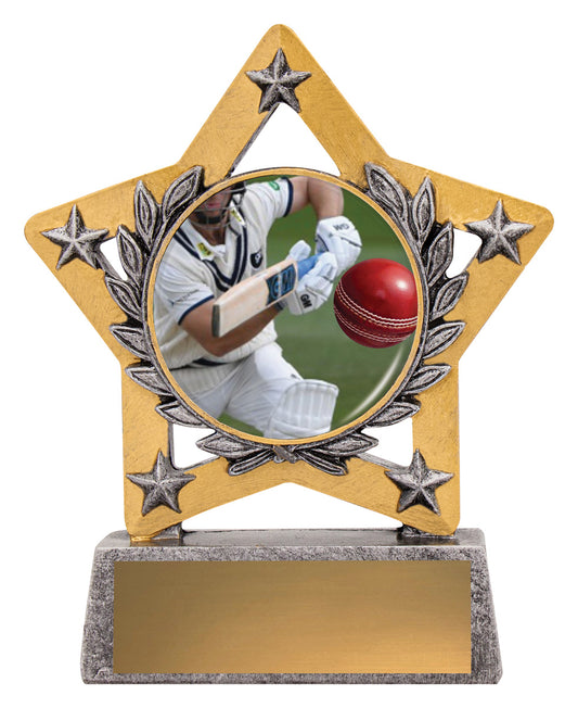 Mini Star Colour - Batting