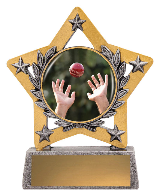 Mini Star Colour - Fielding