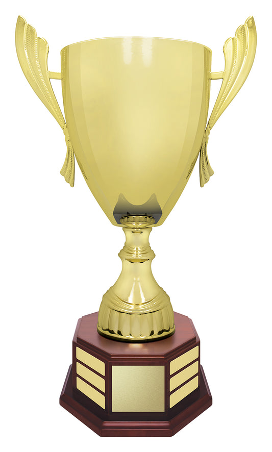 Concordia Cup