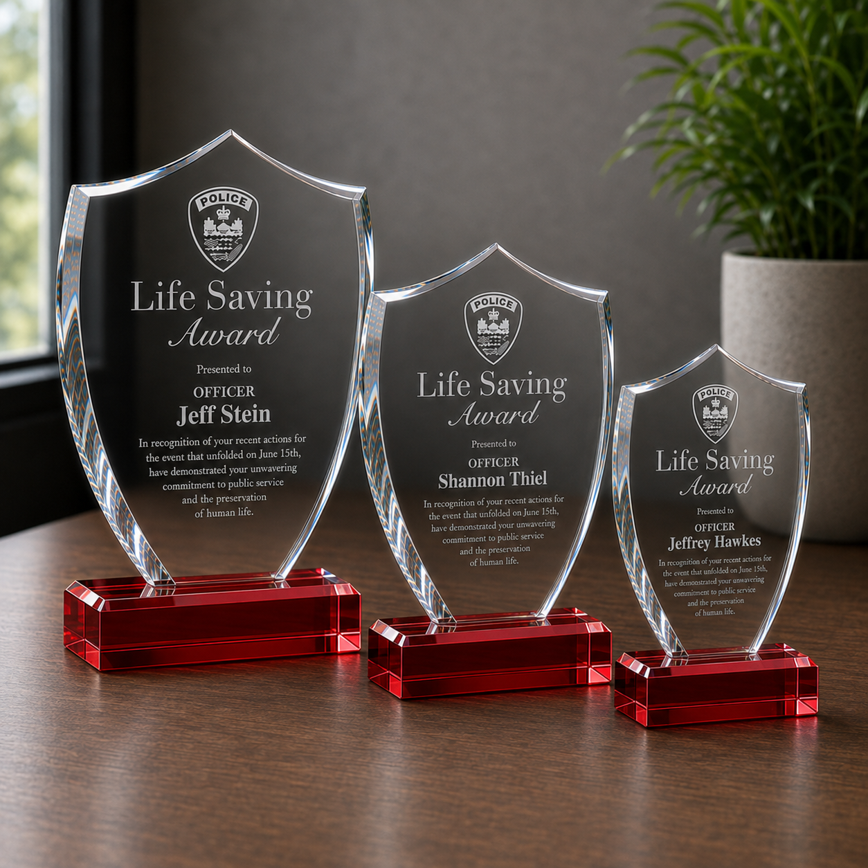 Acrylic Shield Trophy