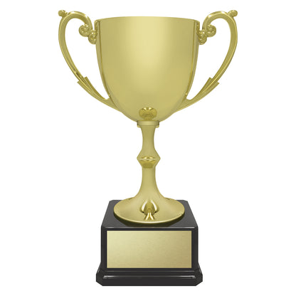 Recognition Cups