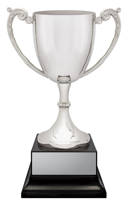 Provenance Cup