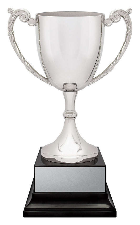 Provenance Cup
