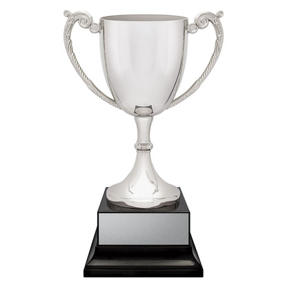 Provenance Cup