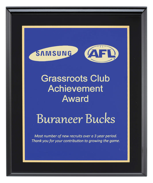 Designer Blue Plaque