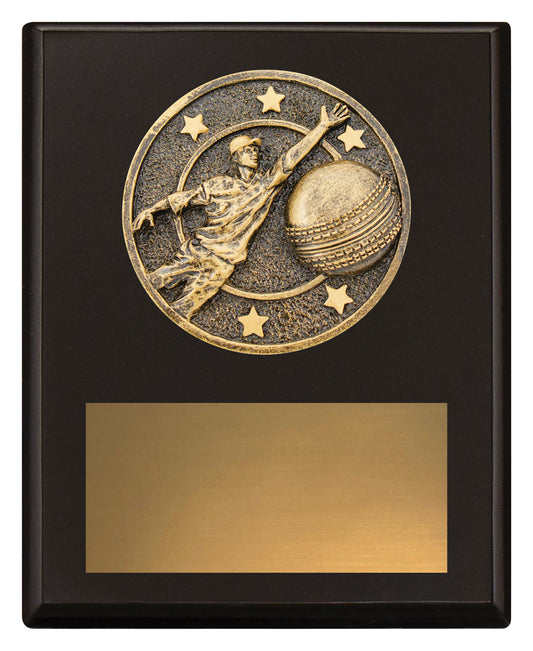 Challenge Plaque - Fielding
