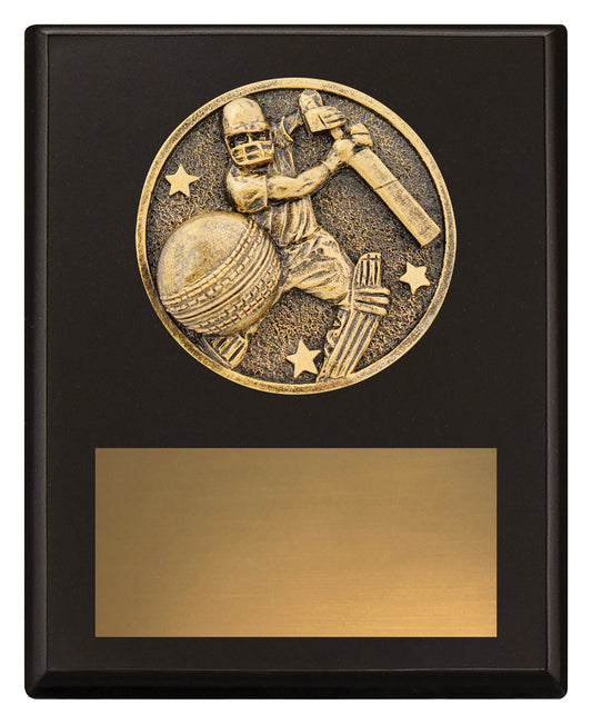 Challenge Plaque - Batting