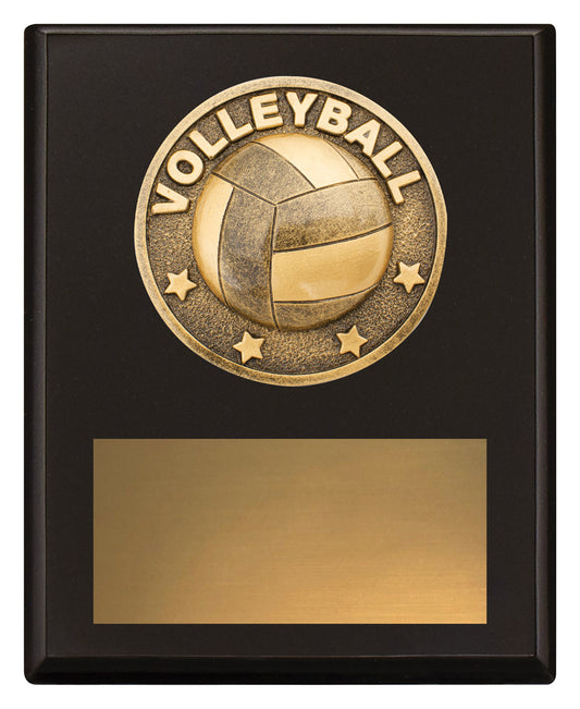Challenge Plaque - Volleyball