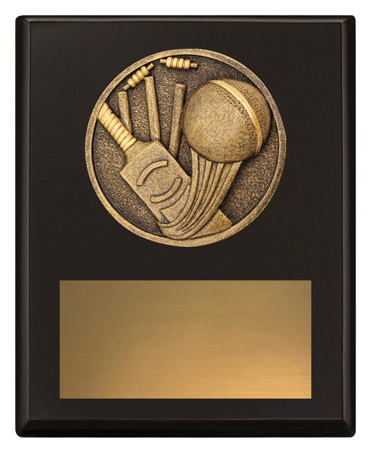 Challenge Plaque - Cricket