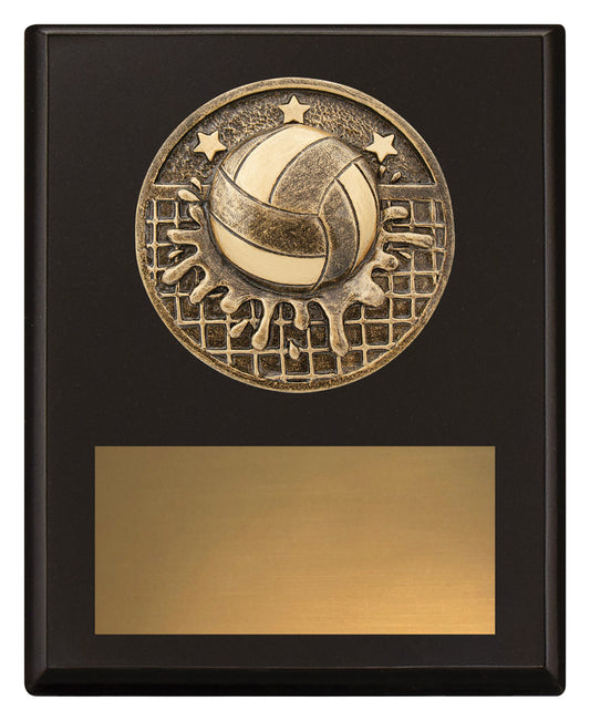 Challenge Plaque - Water Polo