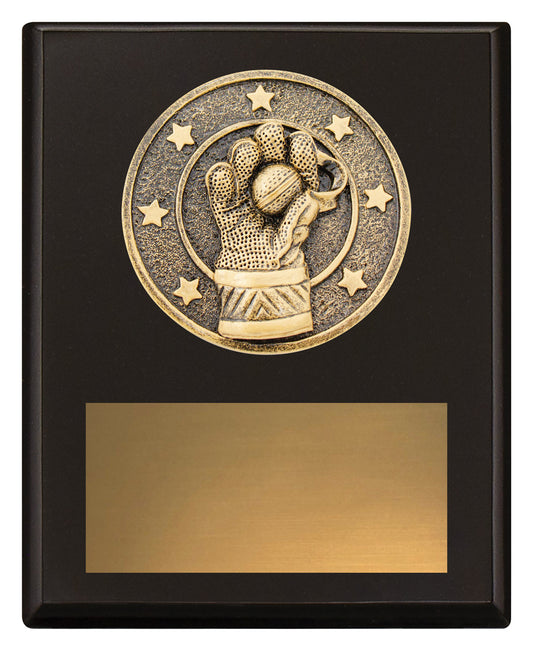 Challenge Plaque - Wicketkeeping