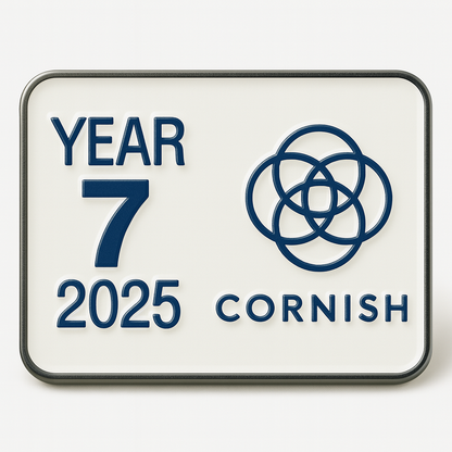 Enamel lapel pins for schools