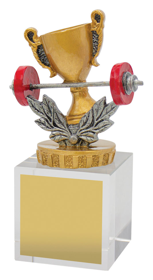 Fitness Budget Crystal