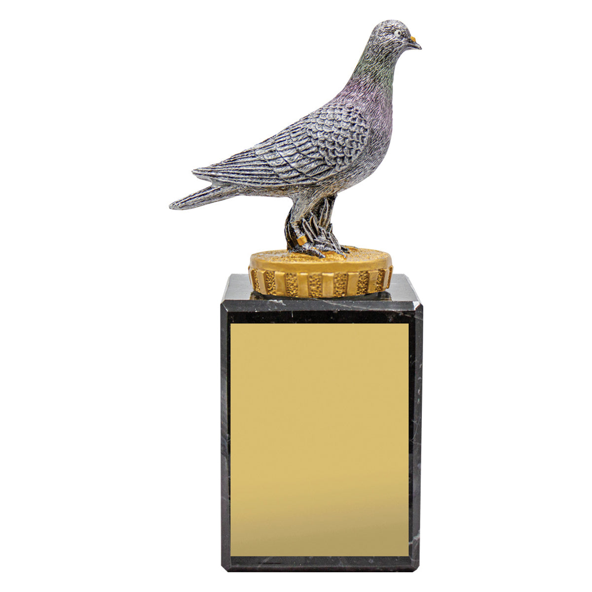 Pigeon Marble