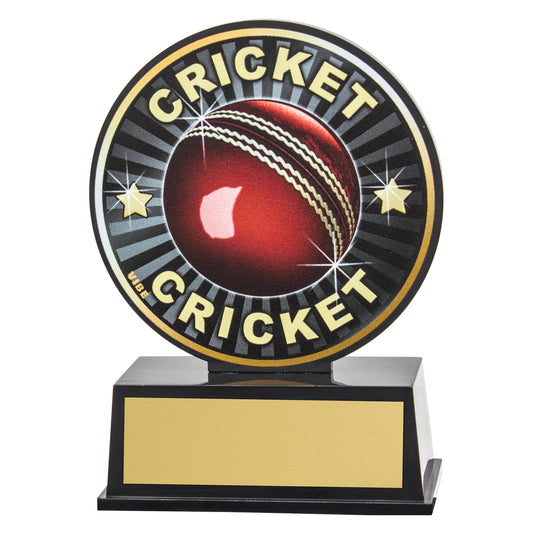 Vibe Cricket