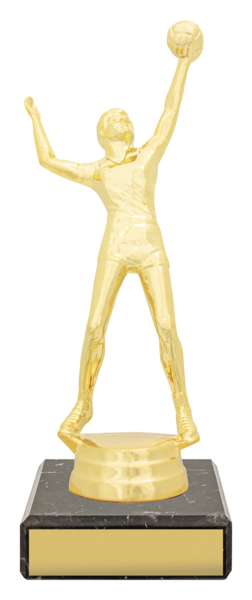 Figure Trophy - Male Volleyball