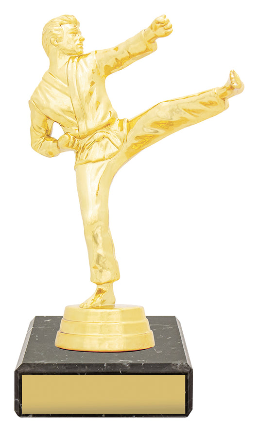 Figure Trophy - Male Karate