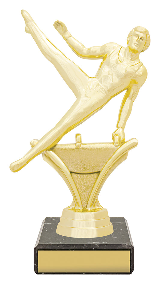 Figure Trophy - Male Gym