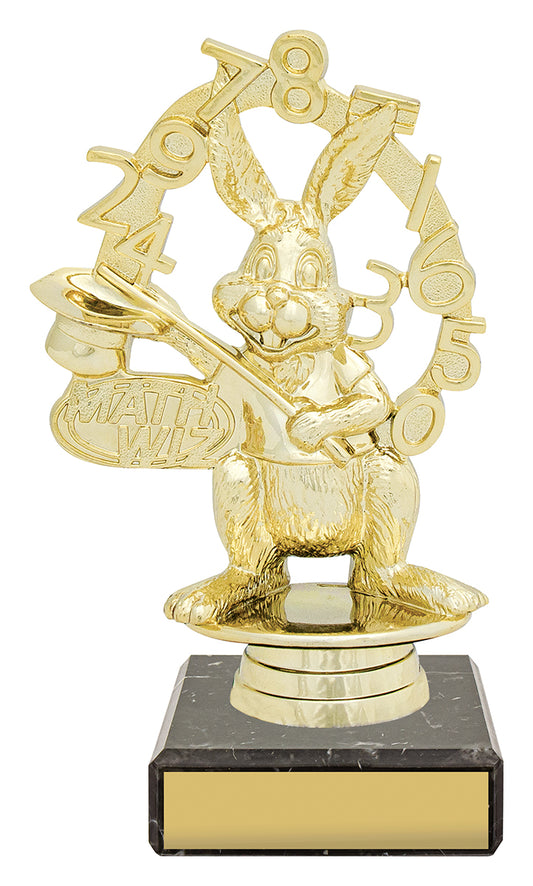 Figure Trophy - Maths